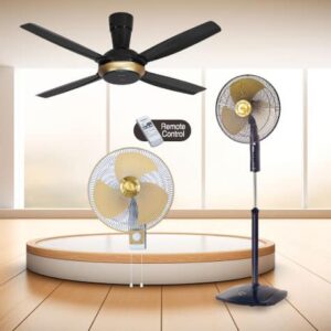 Fans