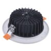 DL2020 Bottom View