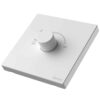 Simon Fan Regulator Switch