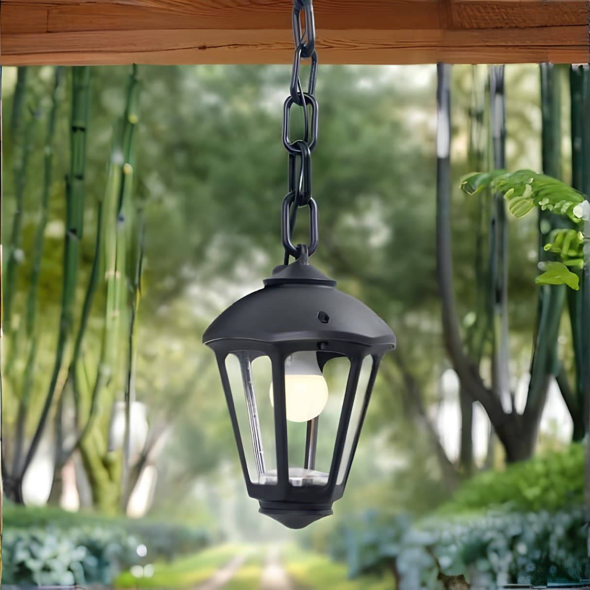 SICAR-SANDRO Hanging Light